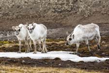 _MG_9391-1