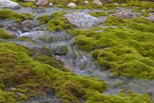 _MG_9925